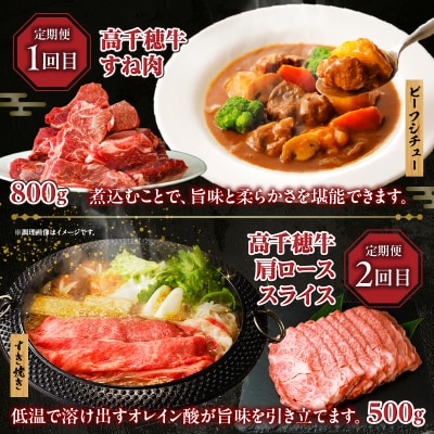 【6か月定期便】高千穂牛煮込み料理6か月定期便