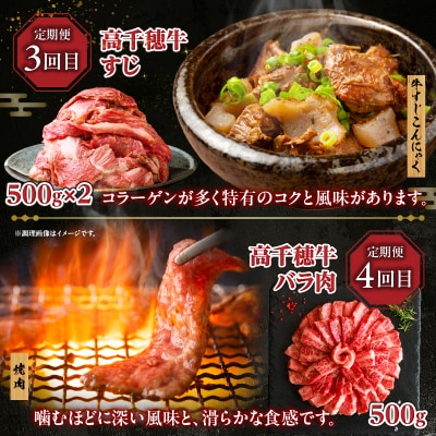 【6か月定期便】高千穂牛煮込み料理6か月定期便