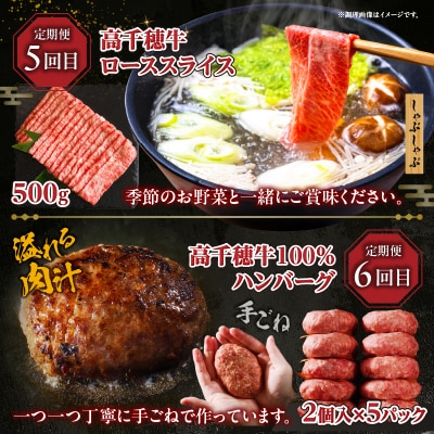 【6か月定期便】高千穂牛煮込み料理6か月定期便