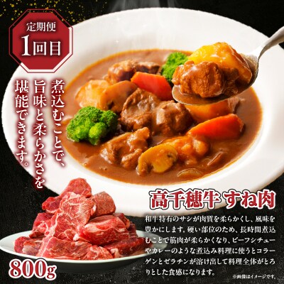 【3か月定期便】高千穂牛煮込み料理3か月定期便