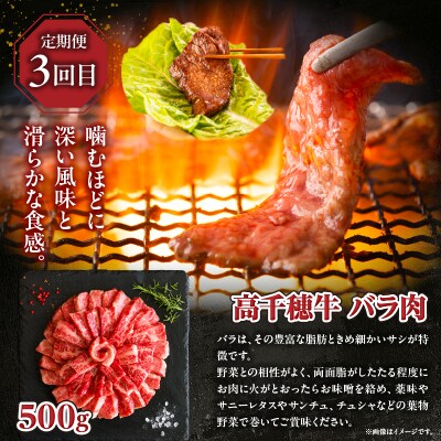 【3か月定期便】高千穂牛煮込み料理3か月定期便