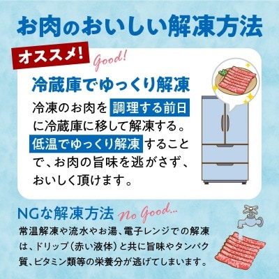  宮崎県産黒毛和牛赤身(ウデまたはモモ)・霜降り焼きしゃぶ500g