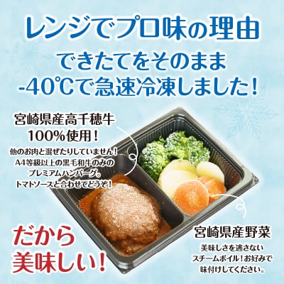 【4か月定期便】レンジでプロ味!定期便