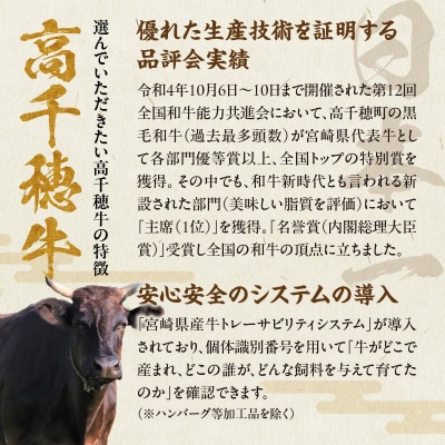 宮崎県産黒毛和牛A4等級以上 高千穂牛100%使用! ハンバーグのたね 計1.56kg
