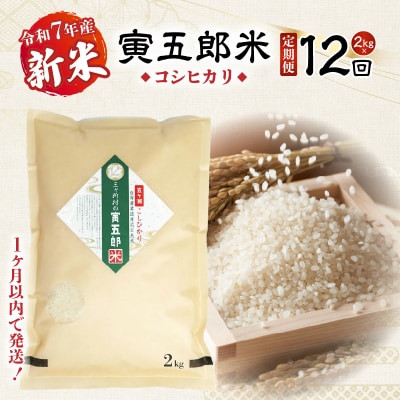 【12か月定期便】【令和7年産 新米】三ヶ所米の寅五郎米コシヒカリ24kg(2kg×1個 全12回)