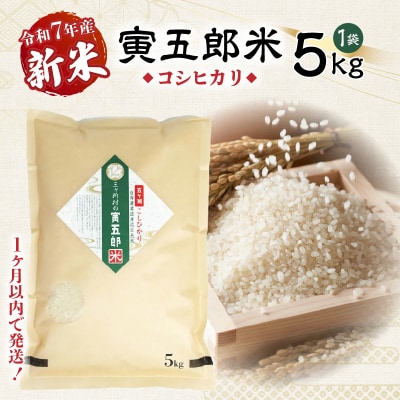 【令和7年産 新米】三ヶ所米の寅五郎米コシヒカリ 5kg
