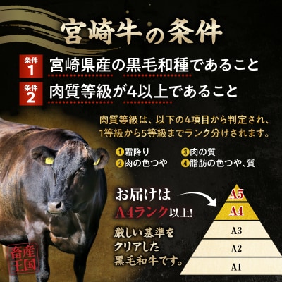 宮崎牛 モモ満喫セット(焼肉500g・スライス500g・ステーキ400g)