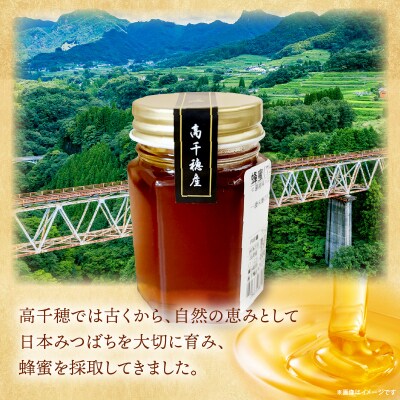 日本みつばち 高千穂の純粋蜂蜜 75g×1本