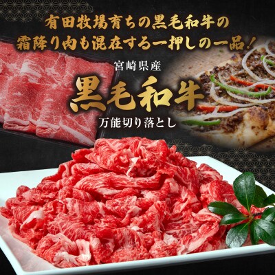 和牛おまかせ万能切落し700g