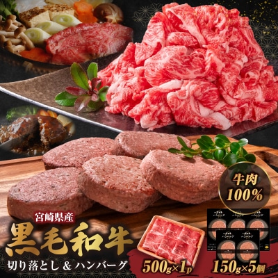 宮崎牛入有田ハンバーグ150g×5個と万能切落し500g
