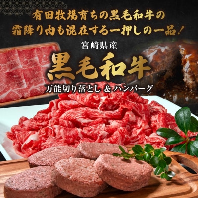 宮崎牛入有田ハンバーグ150g×5個と万能切落し500g