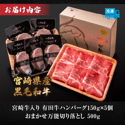 宮崎牛入有田ハンバーグ150g×5個と万能切落し500g
