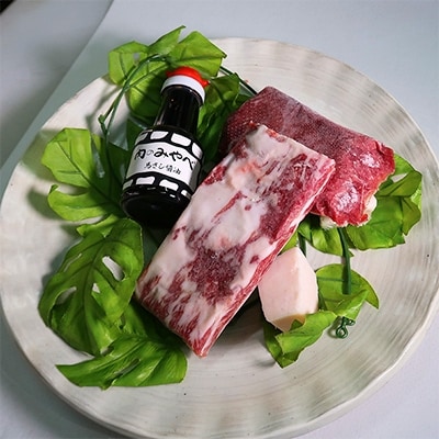 馬刺し3種盛り合わせ(特撰霜降り・馬たてがみ・上ロース赤身) 計450g