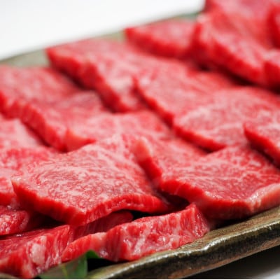熊本県産【黒毛和牛】肩(焼肉用) 400g