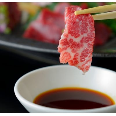 馬刺し部位堪能7種食べ比べブロック(御船町)