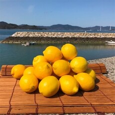 青いレモンの島　レモン約3kg