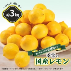 青いレモンの島　レモン約3kg