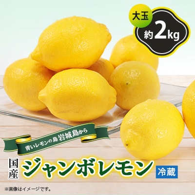 【6月出荷】青いレモンの島　ジャンボレモン2kg(冷蔵)
