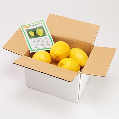 【6月出荷】青いレモンの島　ジャンボレモン2kg(冷蔵)