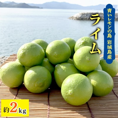 青いレモンの島　ライム約2kg