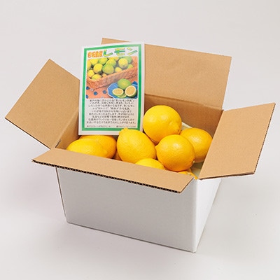【6月出荷】青いレモンの島　レモン約1kg【お試しセット】(冷蔵便発送)