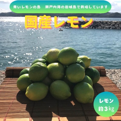 【先行予約11月発送～】青いレモンの島　グリーンレモン約3kg