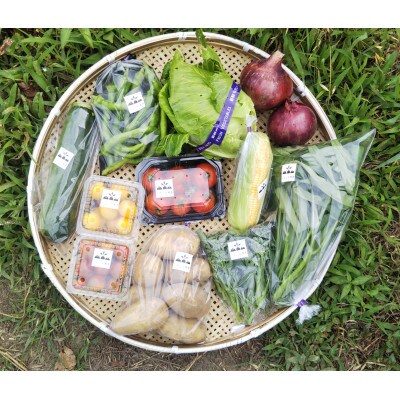 野菜セット(季節の新鮮野菜詰め合わせ)