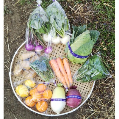 野菜セット(季節の新鮮野菜詰め合わせ)