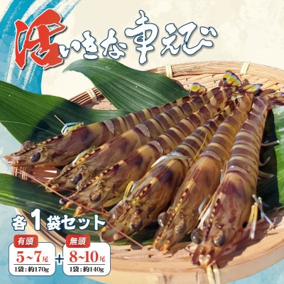 急速冷凍活きな車えび【有頭5～7尾(約170g)】【無頭8～10尾(約140g)】各1袋セット