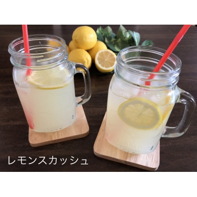 シュガーファームの丸搾りレモン果汁　720ml×2本