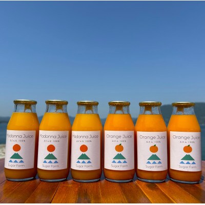 シュガーファームの丸搾り まどんな・みかんジュース6本セット　(180ml 各3本)