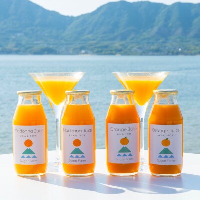 シュガーファームの丸搾り まどんな・みかんジュース6本セット　(180ml 各3本)
