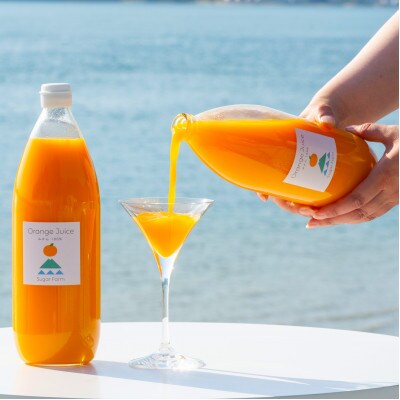 【訳あり】愛媛 シュガーファーム 丸搾り みかんジュース ストレート1000ml×1本