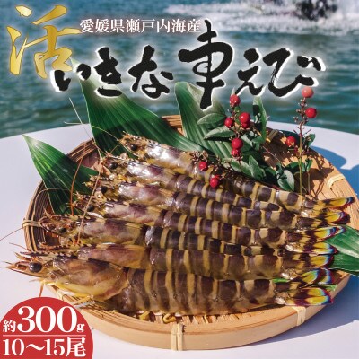 愛媛県瀬戸内海産　いきな車えび 約300g(10～15尾)
