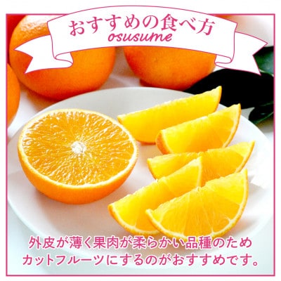 【先行受付】紅まどんな　化粧箱　3L～L　10～15玉　愛媛県　JAおちいまばり