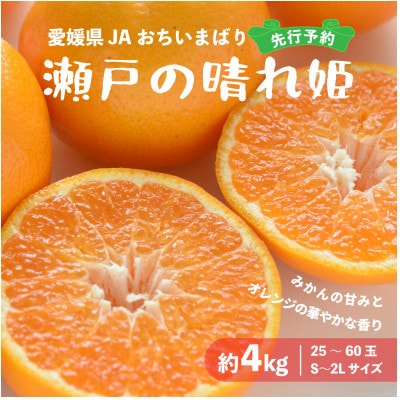 【先行受付】瀬戸の晴れ姫　2L～Sサイズ　4kg(25～60玉)　愛媛県　JAおちいまばり