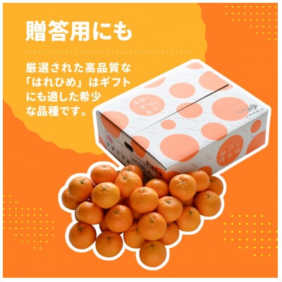 【先行受付】瀬戸の晴れ姫　2L～Sサイズ　4kg(25～60玉)　愛媛県　JAおちいまばり