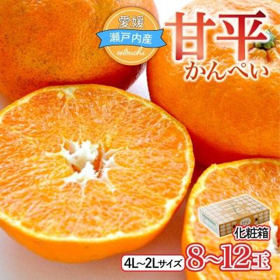 【先行受付】甘平(かんぺい)化粧箱　4L～2Lサイズ　8～12玉　愛媛県JAおちいまばり