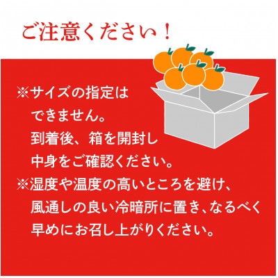 【先行受付】甘平(かんぺい)化粧箱　4L～2Lサイズ　8～12玉　愛媛県JAおちいまばり