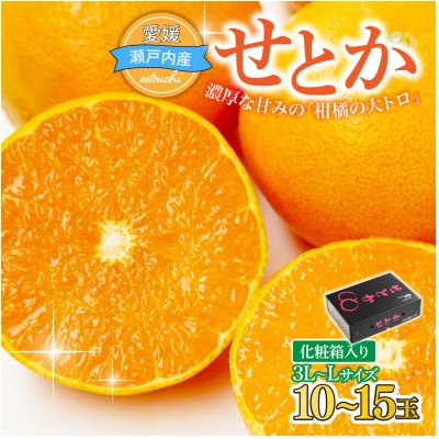 【先行受付】せとか　化粧箱　3L～Lサイズ　10～15玉　愛媛県　JAおちいまばり