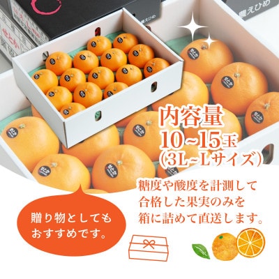 【先行受付】せとか　化粧箱　3L～Lサイズ　10～15玉　愛媛県　JAおちいまばり