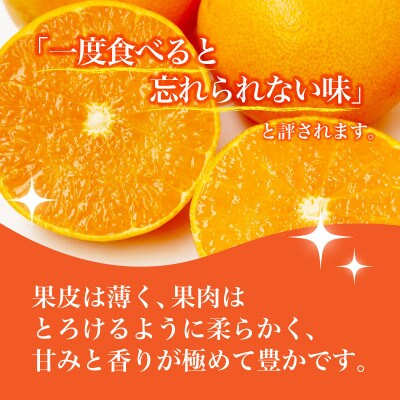 【先行受付】せとか　化粧箱　3L～Lサイズ　10～15玉　愛媛県　JAおちいまばり