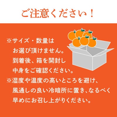 【先行受付】せとか　化粧箱　3L～Lサイズ　10～15玉　愛媛県　JAおちいまばり