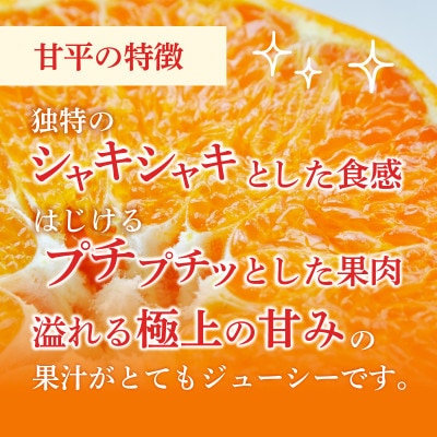 【先行受付】人気柑橘　甘平(かんぺい)レギュラー箱　5kg　愛媛県　JAおちいまばり