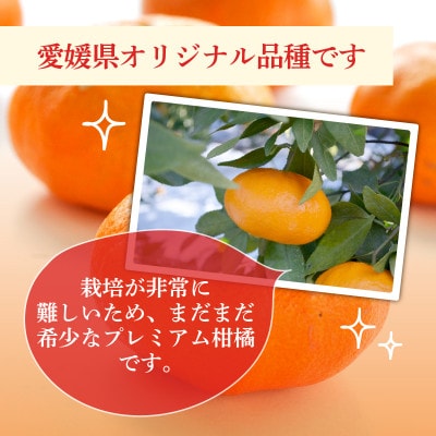 【先行受付】人気柑橘　甘平(かんぺい)レギュラー箱　5kg　愛媛県　JAおちいまばり