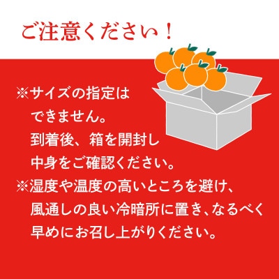 【先行受付】人気柑橘　甘平(かんぺい)レギュラー箱　5kg　愛媛県　JAおちいまばり