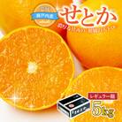 【先行受付】せとか　レギュラー箱　5kg　愛媛県JAおちいまばり