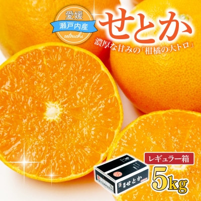【先行受付】せとか　レギュラー箱　5kg　愛媛県JAおちいまばり