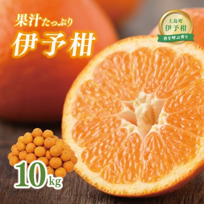 愛媛県産伊予柑 10kg　2L～L