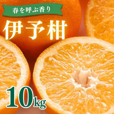 愛媛県産伊予柑 10kg　2L～L